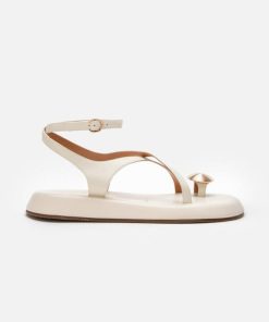 Thedaisychain.shop8f72429832 1