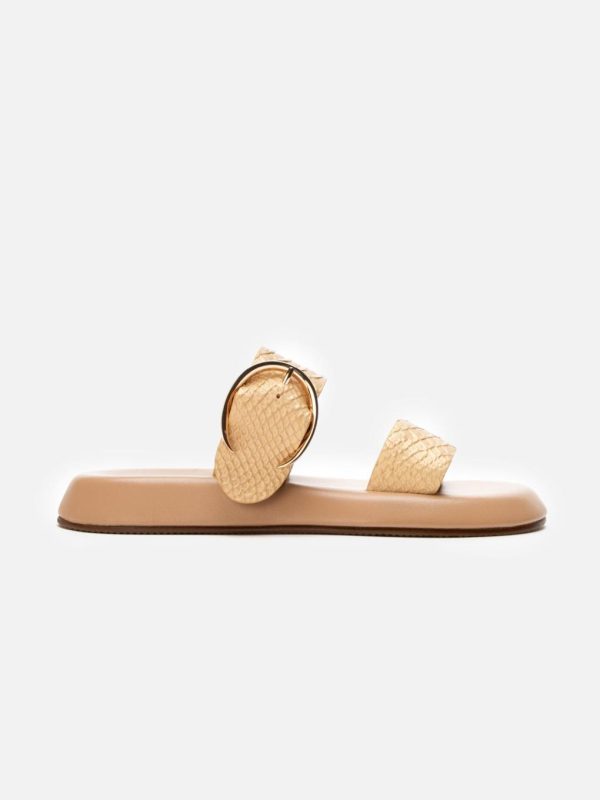 Thedaisychain.shopd4771af2df 1