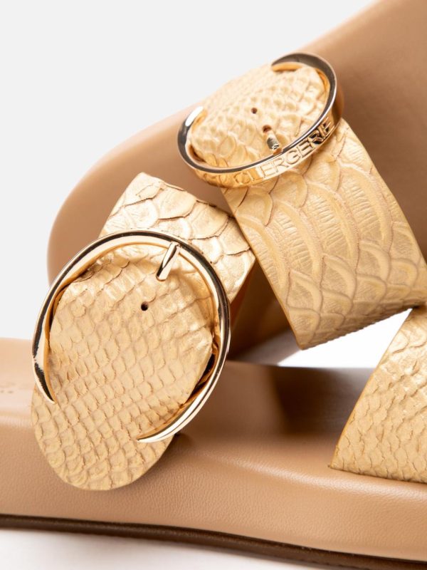 Thedaisychain.shopd4771af2df 2