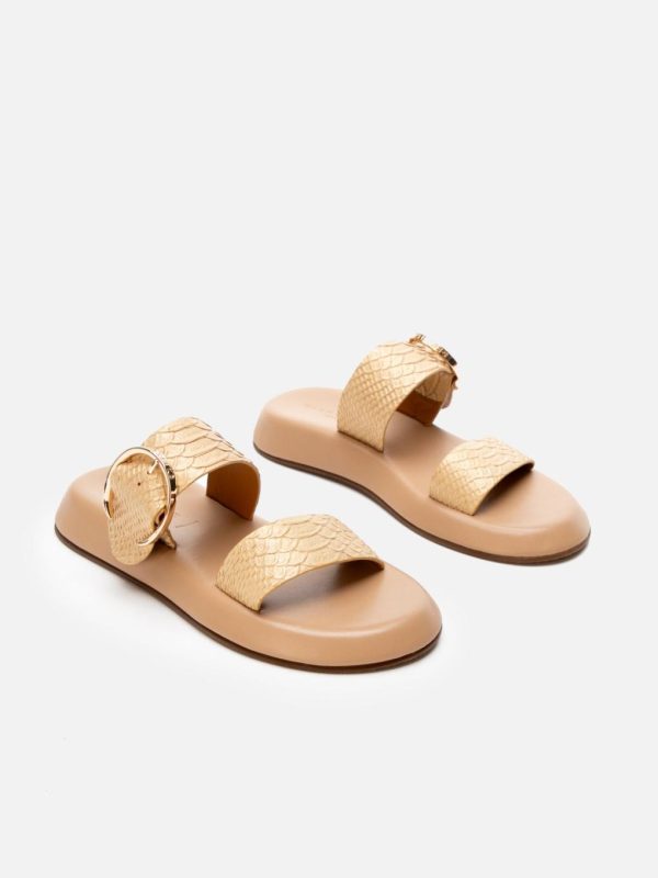 Thedaisychain.shopd4771af2df 3